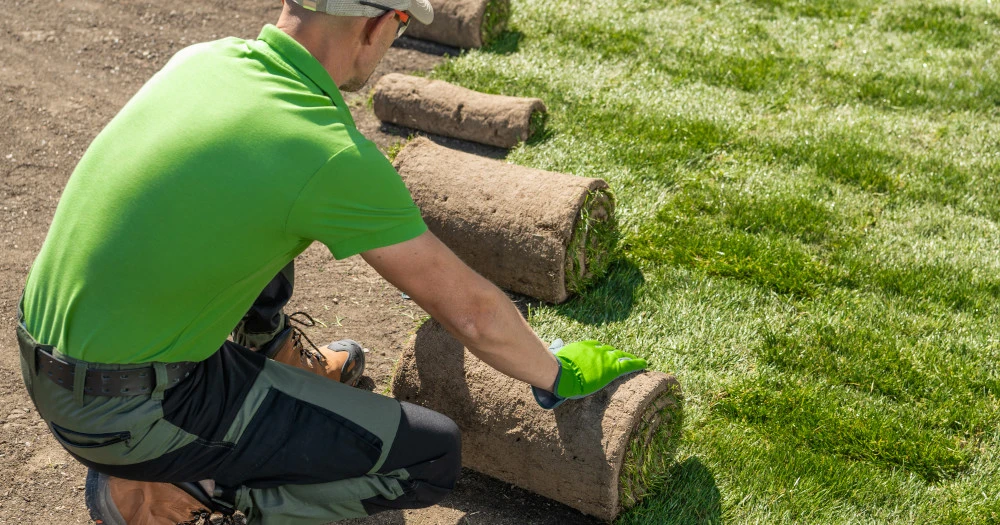 Równanie i niwelacja terenu w procesie zakładania trawników
